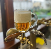 Noc pivovarů 2026: Oslava pivovarnictví se uskuteční ve třech krajích